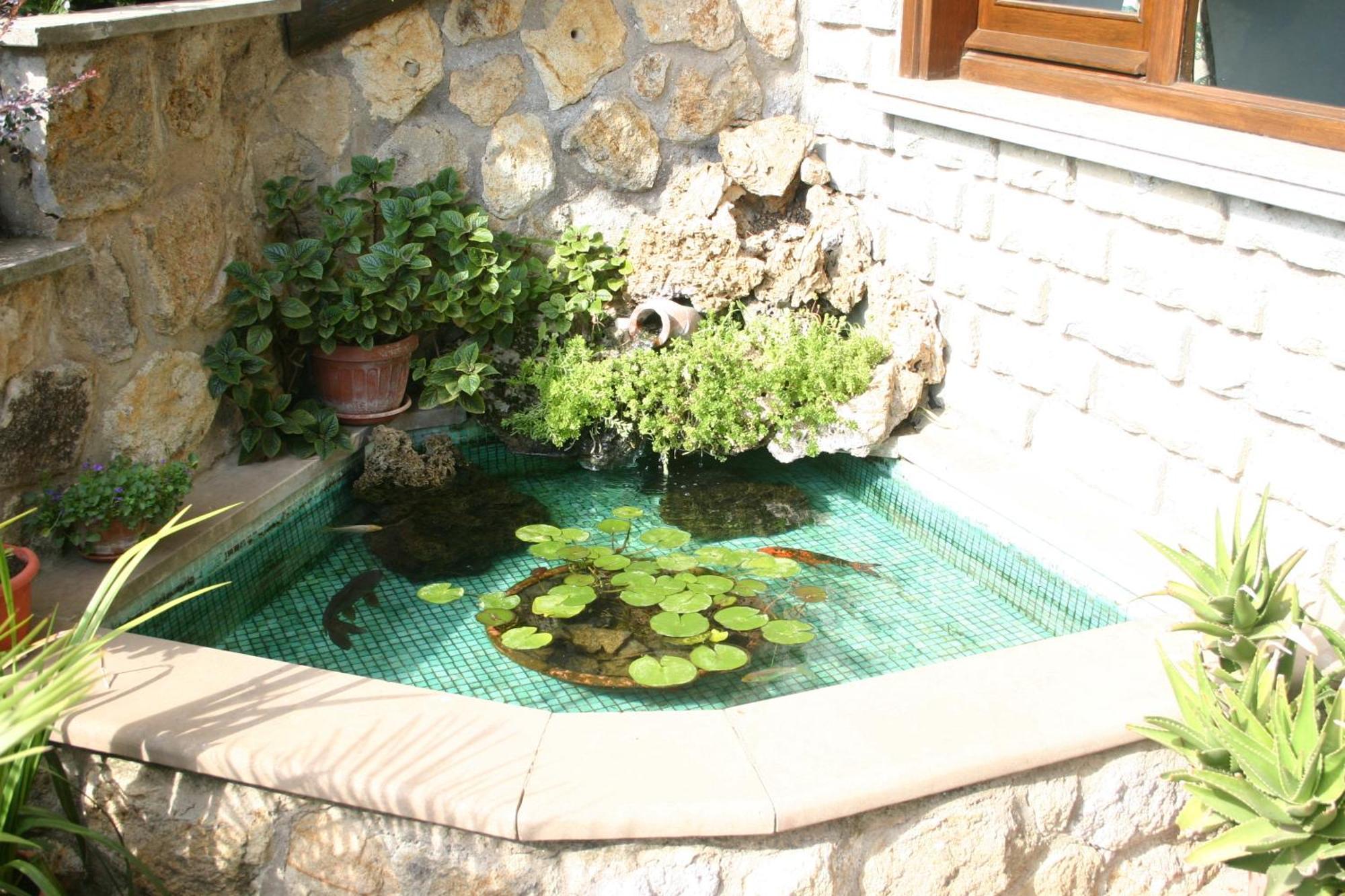 B&B Le Palme Bassano Romano Zewnętrze zdjęcie