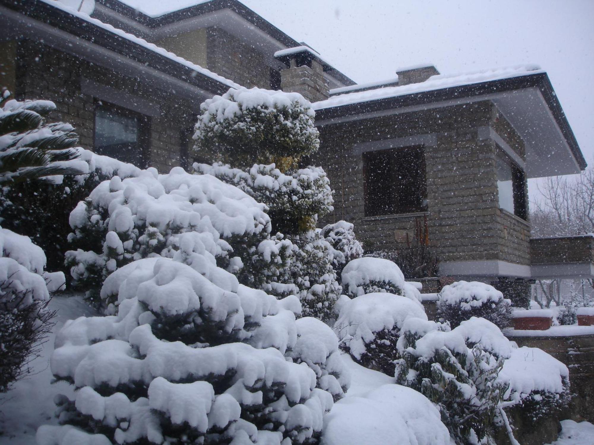 B&B Le Palme Bassano Romano Zewnętrze zdjęcie